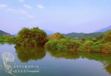流溪河从都湿地公园12