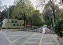 大象岗森林公园1