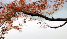 黄婆洞水库11