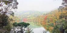 黄婆洞水库8