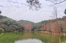 黄婆洞水库3