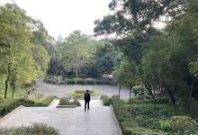 金印游乐场6