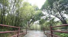 湖心岛5