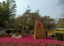 番禺南区公园3