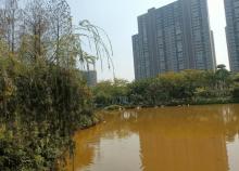 番禺南区公园2