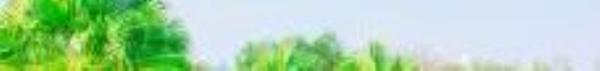 广州义务植树公园1