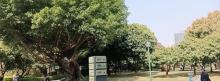 花都人民公园1