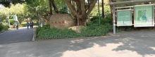 花都人民公园2