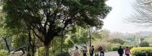 花都人民公园3