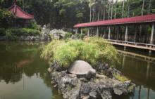 醉观公园12