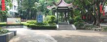 醉观公园2