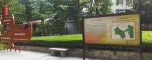醉观公园1
