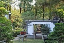 醉观公园14