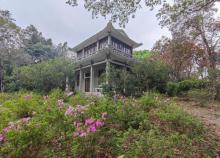 白云山明珠楼2