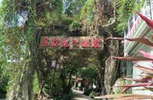 银盏森林温泉6