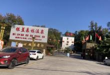 银盏森林温泉14
