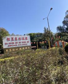 银盏森林温泉16