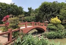 莲花山旅游区-莲花仙境12