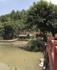 莲花山旅游区-莲花仙境13