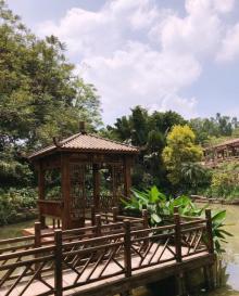 莲花山旅游区-莲花仙境9