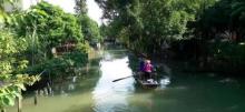 大稳村12