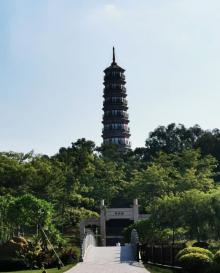 水博苑14