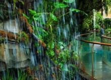 雨林湖泊3