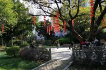 东风公园5