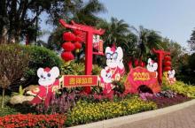 东风公园9