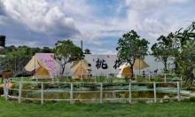 桃花源农场露营地2