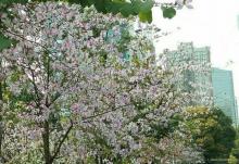东站广场水景瀑布7