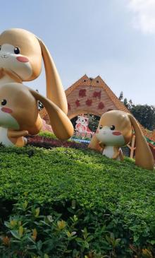 深圳野生动物园17