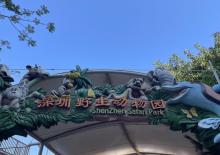 深圳野生动物园18