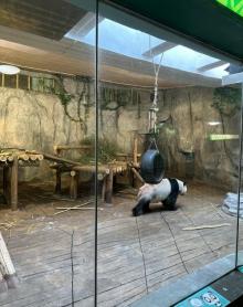 深圳野生动物园21