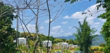 南平静修小镇露营地3