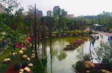 文华公园6