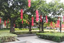 文华公园17