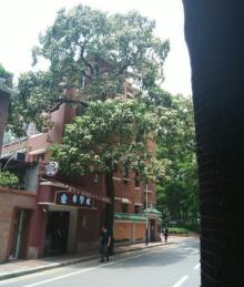 龟岗民国建筑群18