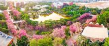 花溪1