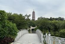 琶洲塔公园8