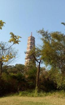 琶洲塔公园12