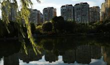 雷岗公园6