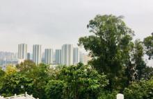 雷岗公园19