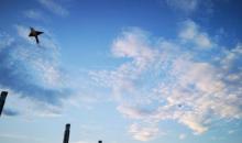 雷岗公园9