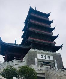 雷岗公园23