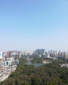 雷岗公园12