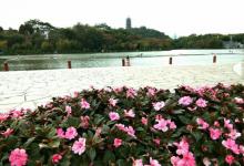 雷岗公园15