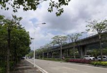凤凰山森林公园5