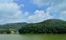 凤凰山森林公园1