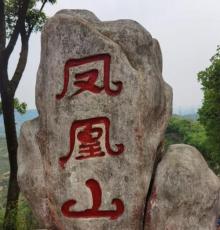 凤凰山森林公园2